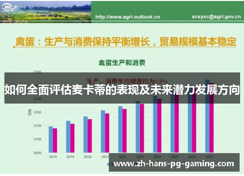 如何全面评估麦卡蒂的表现及未来潜力发展方向