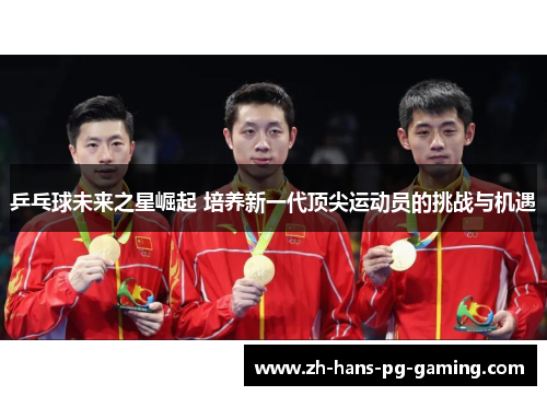 乒乓球未来之星崛起 培养新一代顶尖运动员的挑战与机遇