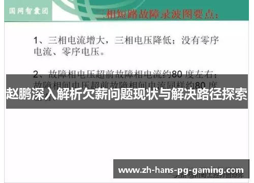 赵鹏深入解析欠薪问题现状与解决路径探索