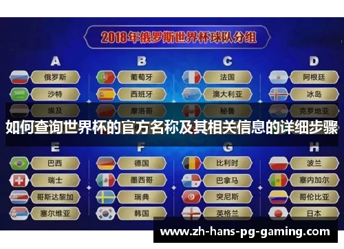 如何查询世界杯的官方名称及其相关信息的详细步骤
