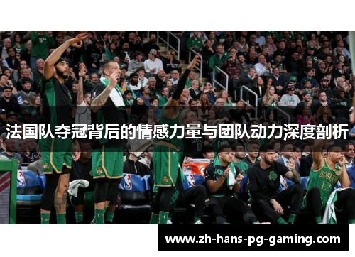 法国队夺冠背后的情感力量与团队动力深度剖析