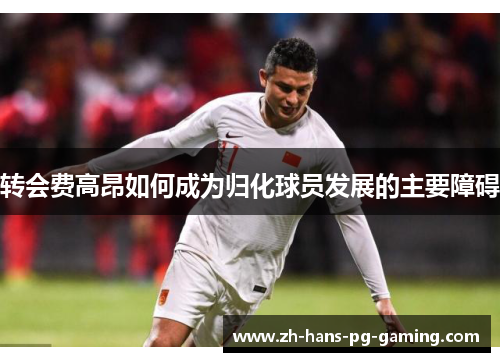 转会费高昂如何成为归化球员发展的主要障碍