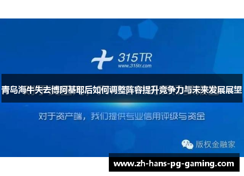 青岛海牛失去博阿基耶后如何调整阵容提升竞争力与未来发展展望