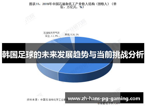 韩国足球的未来发展趋势与当前挑战分析